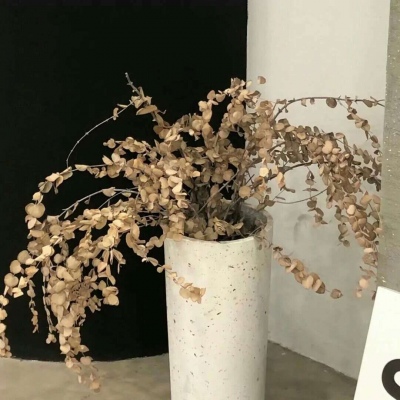 Furry黑白线稿教程兽圈社群